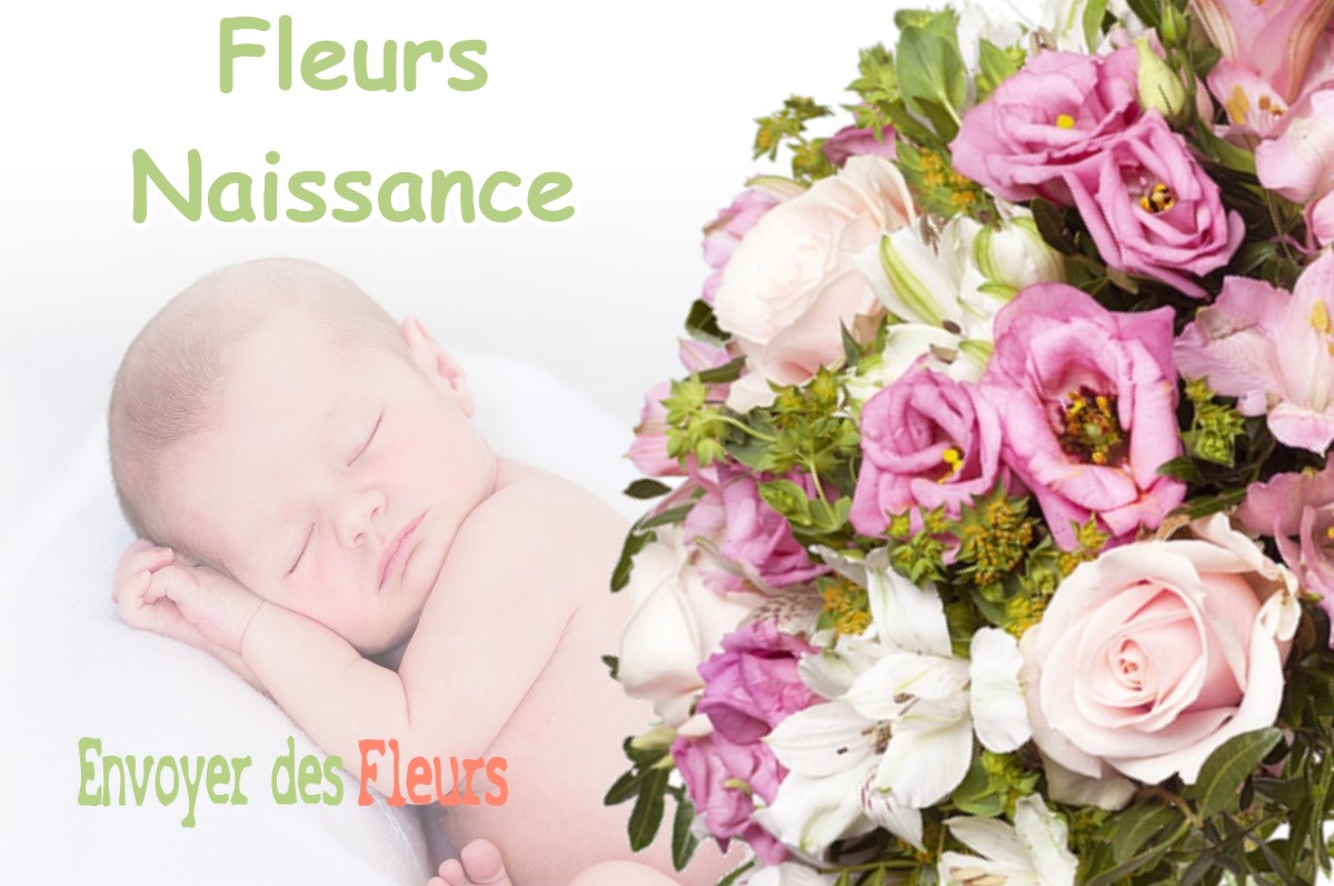 lIVRAISON FLEURS NAISSANCE à MONTMOROT